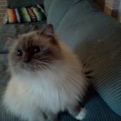 Carmen Manwaring's photo