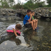 Tania Canavati's photo