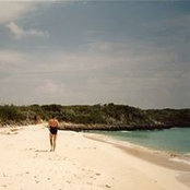 Robin Shamp's photo