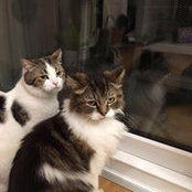 Foto von Barbara Collinson