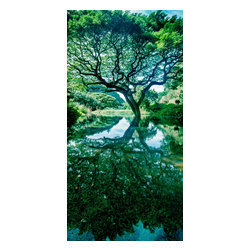 Douglas Page Photographic Arts - Tree Of Life, Canvas Giclee, 16" X 32" - Prints And Posters