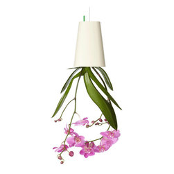 Boskke - Sky Planter Recycled - Products