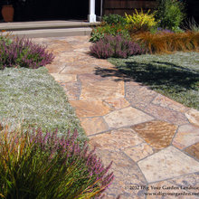 Plant alternatives to lawn