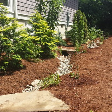 Pet-Char Stormwater Solution