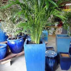 Container gardening - Home Decor