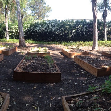 ebay, inc. Corporate Vegetable Garden Installation & Employee Garden Education