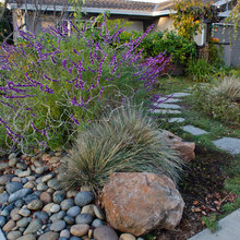cynthia_sakaguchi's ideas