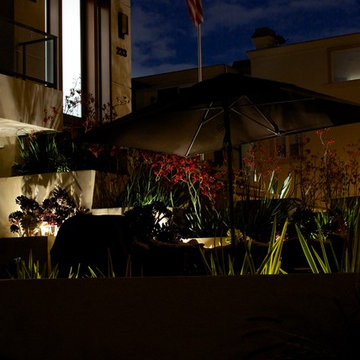 Landscape Lighting - Home in Manhattan Beach, CA