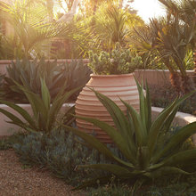 Fountains, Pools & Water Features