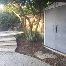 Backyard Corner