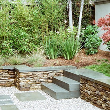 Favourite Backyards