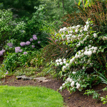 Mature Garden