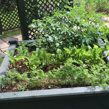 West London Garden