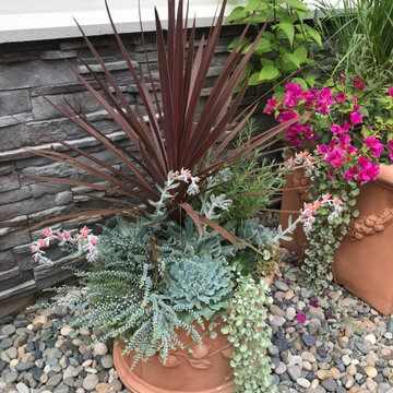Mediterranean Garden in Tsawwassen
