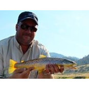 Jason Cook's photo