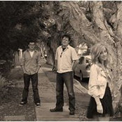John Williams's photo