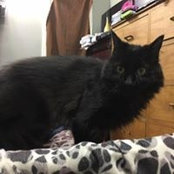 Stephanie Thorimbert's photo
