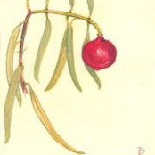Cleo Fleming's photo