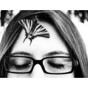 Irina Predescu's photo