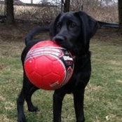 Maureen McKay's photo