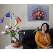 Jane Hoo's photo
