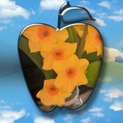 Dawn Embery's photo