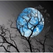 Sabrina Kassel's photo