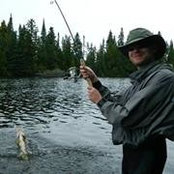Andrew Baran's photo