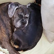 Patty Bailly's photo