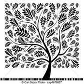 Sinead Singh's photo