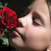 Amanda Palmer's photo