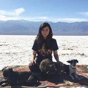 Avital Ash's photo
