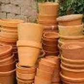 Francesca Riccini's photo