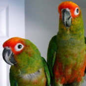 Barbara Hogan's photo