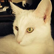 Carmen Zinno's photo