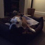 Steph Coe's photo