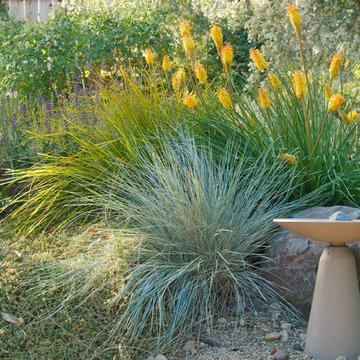 Eichler Texture and Color