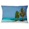 Beach with White Sand and Turquoise Water Modern Seascape Throw Pillow, 12"x20"