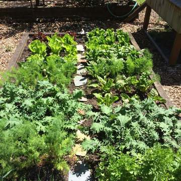 Edible Garden Gallery