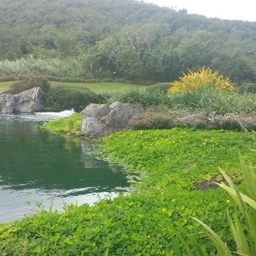 Ayala Greenfield Estates