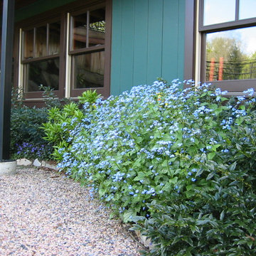 Rustic Cottage