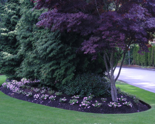 Front Yard Landscaping Make Over 1