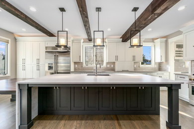 Kitchen - contemporary kitchen idea in Denver