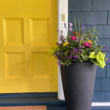 garden/entrance etc