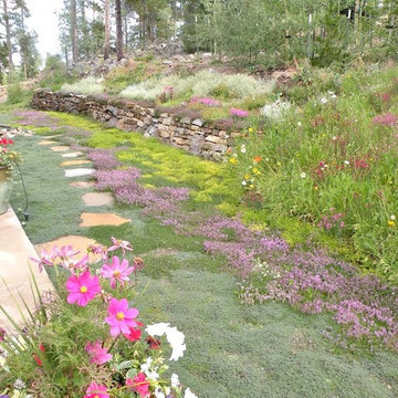Our Work