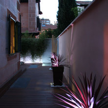 Roof Deck