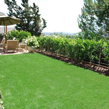 Synthetic Lawns