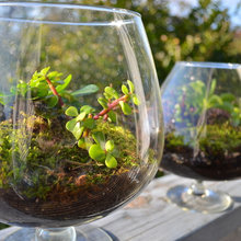 garden/outside