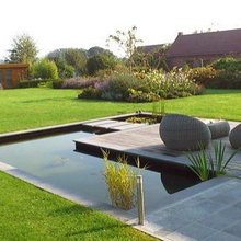 Pond Ideas