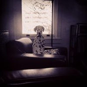 Seth Mathlery's photo